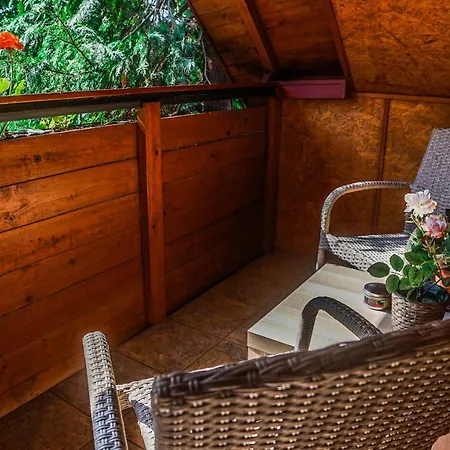 Anna Vendeghaz Проживання в сім'ї *