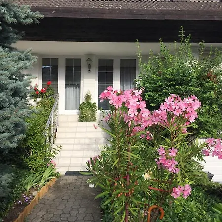 Anna Vendeghaz Проживання в сім'ї Еґер