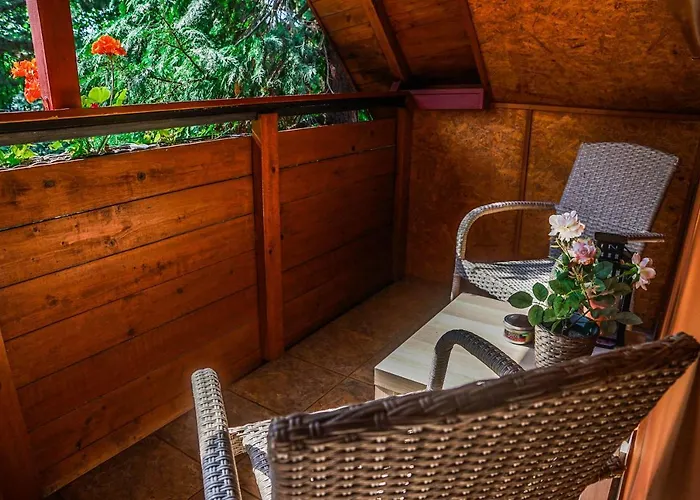 Anna Vendeghaz Проживання в сім'ї *