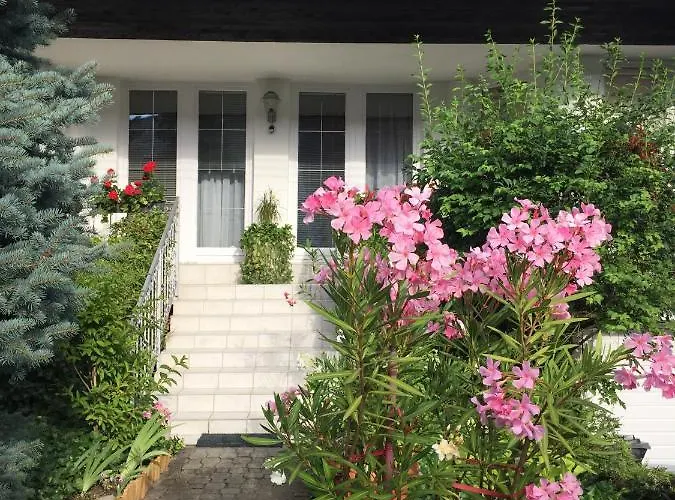 Anna Vendeghaz Проживання в сім'ї Еґер